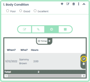 Support & Help - Work Orders - Change Time Entry - eSSETS